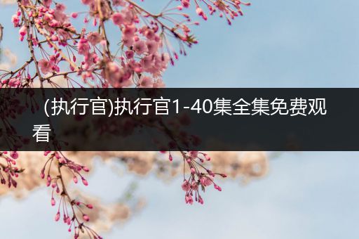 (执行官)执行官1-40集全集免费观看