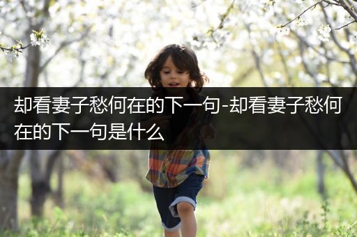 却看妻子愁何在的下一句-却看妻子愁何在的下一句是什么