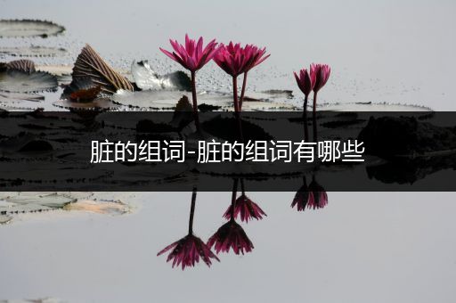 脏的组词-脏的组词有哪些