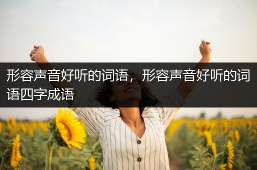 形容声音好听的词语,形容声音好听的词语四字成语