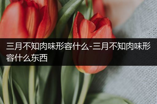 三月不知肉味形容什么-三月不知肉味形容什么东西