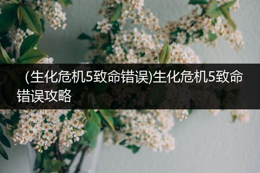 (生化危机5致命错误)生化危机5致命错误攻略