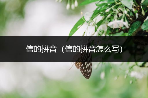信的拼音(信的拼音怎么写)