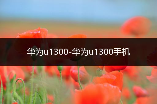 华为u1300-华为u1300手机