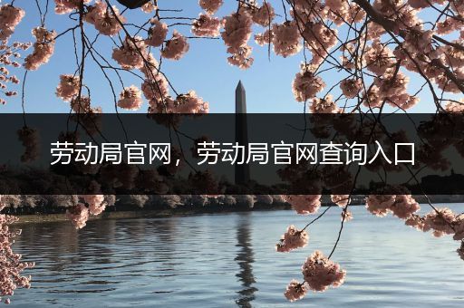 劳动局官网,劳动局官网查询入口