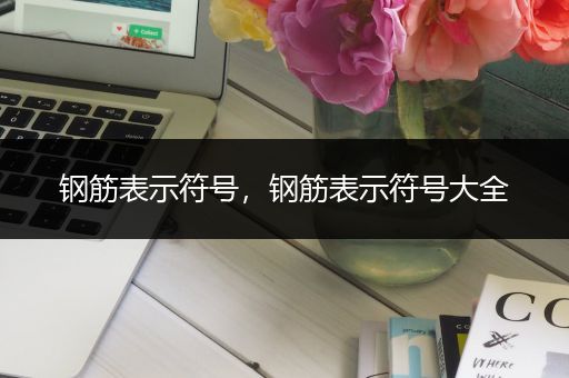 钢筋表示符号,钢筋表示符号大全