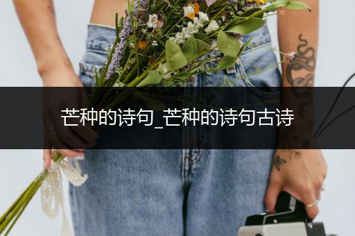 芒种的诗句_芒种的诗句古诗