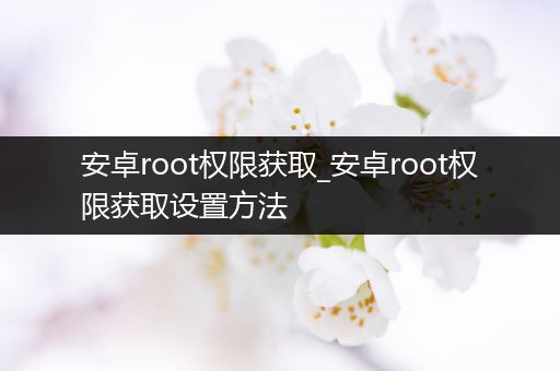 安卓root权限获取_安卓root权限获取设置方法