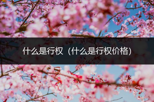 什么是行权(什么是行权价格)
