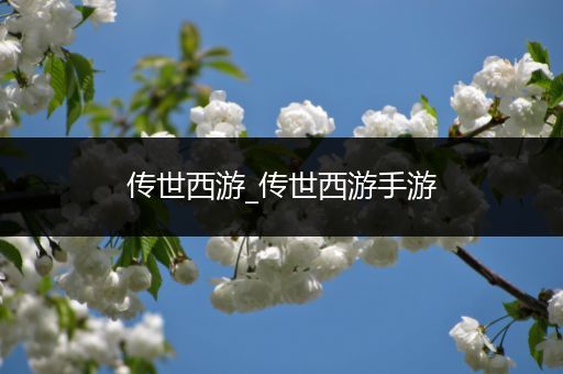 传世西游_传世西游手游