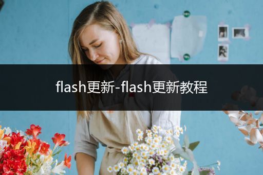 flash更新-flash更新教程