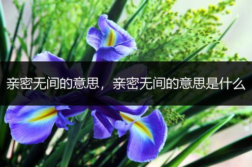 亲密无间的意思,亲密无间的意思是什么