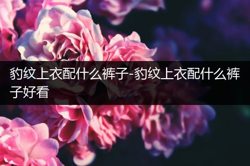 豹纹上衣配什么裤子-豹纹上衣配什么裤子好看