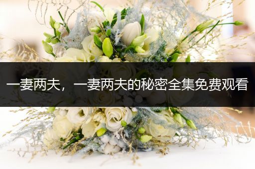 一妻两夫,一妻两夫的秘密全集免费观看