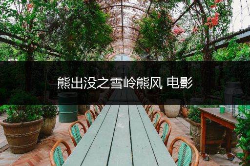 熊出没之雪岭熊风 电影