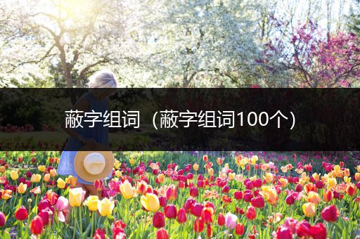 蔽字组词(蔽字组词100个)