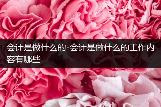 会计是做什么的-会计是做什么的工作内容有哪些