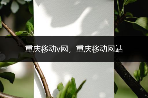 重庆移动v网,重庆移动网站