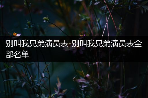 别叫我兄弟演员表-别叫我兄弟演员表全部名单