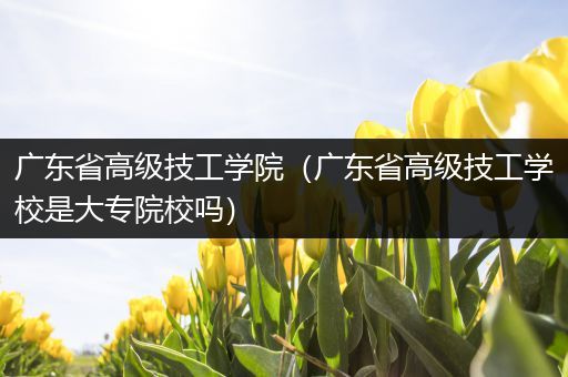 广东省高级技工学院(广东省高级技工学校是大专院校吗)