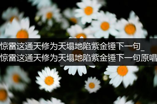 惊雷这通天修为天塌地陷紫金锤下一句_惊雷这通天修为天塌地陷紫金锤下一句原唱