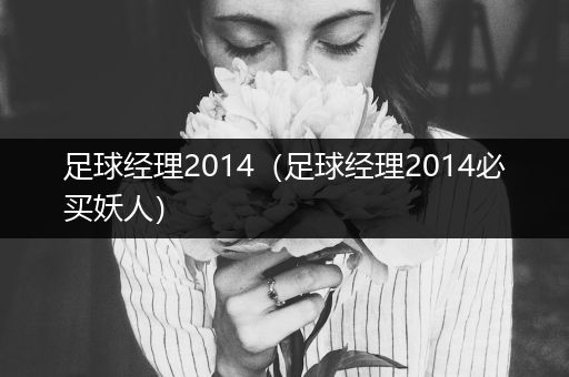 足球经理2014(足球经理2014必买妖人)