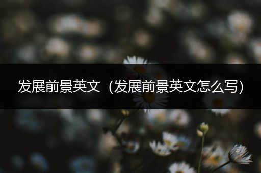 发展前景英文(发展前景英文怎么写)