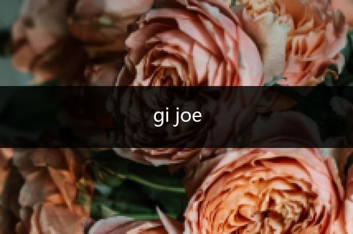 gi joe