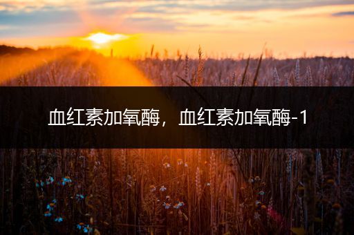 血红素加氧酶,血红素加氧酶-1