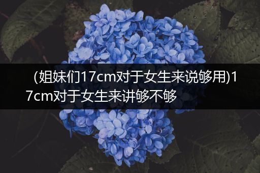 (姐妹们17cm对于女生来说够用)17cm对于女生来讲够不够