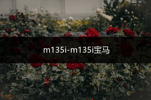 m135i-m135i宝马