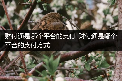 财付通是哪个平台的支付_财付通是哪个平台的支付方式