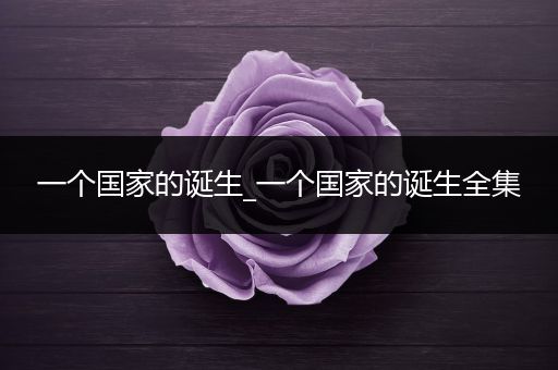一个国家的诞生_一个国家的诞生全集