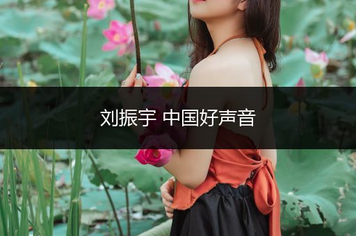 刘振宇 中国好声音