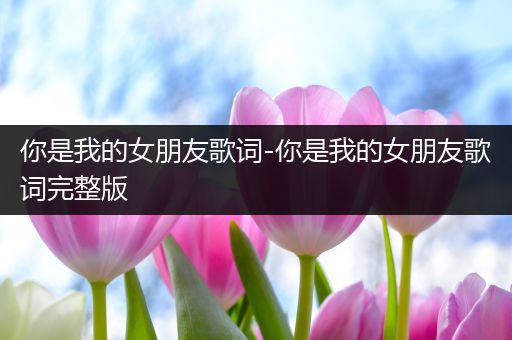 你是我的女朋友歌词-你是我的女朋友歌词完整版