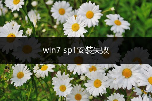 win7 sp1安装失败