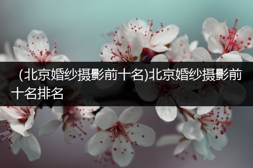 (北京婚纱摄影前十名)北京婚纱摄影前十名排名