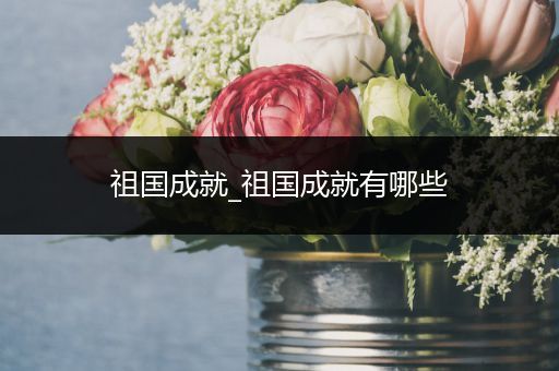 祖国成就_祖国成就有哪些