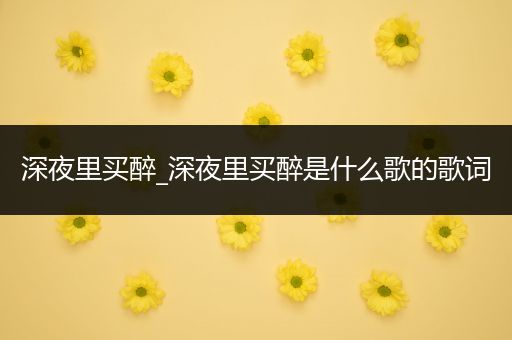 深夜里买醉_深夜里买醉是什么歌的歌词