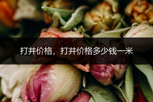 打井价格,打井价格多少钱一米