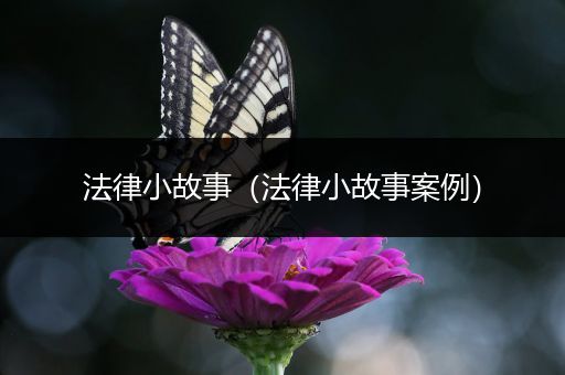 法律小故事(法律小故事案例)