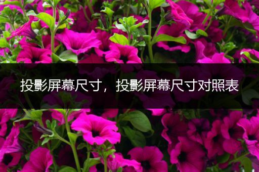 投影屏幕尺寸,投影屏幕尺寸对照表