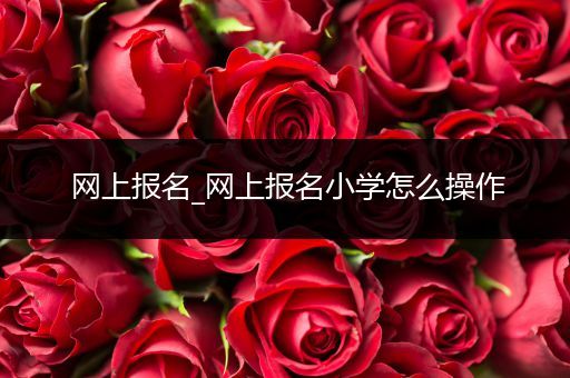 网上报名_网上报名小学怎么操作