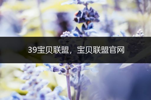 39宝贝联盟,宝贝联盟官网