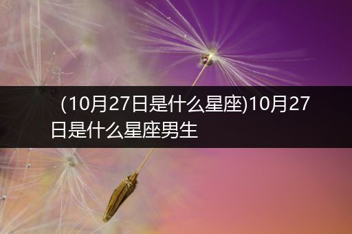 (10月27日是什么星座)10月27日是什么星座男生