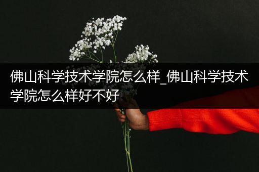 佛山科学技术学院怎么样_佛山科学技术学院怎么样好不好
