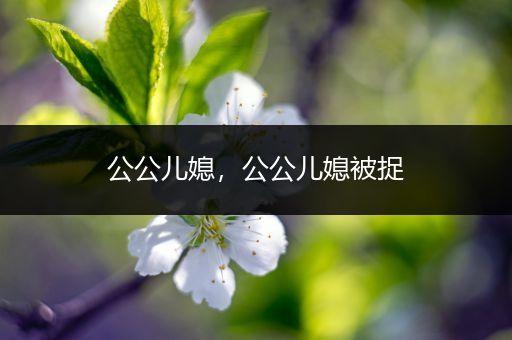 公公儿媳,公公儿媳被捉