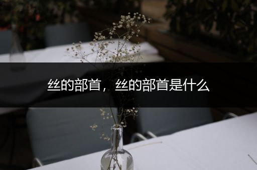 丝的部首,丝的部首是什么