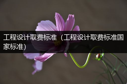 工程设计取费标准(工程设计取费标准国家标准)