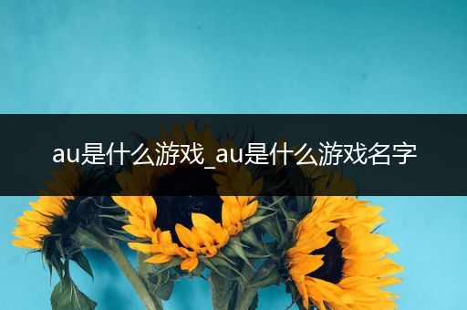 au是什么游戏_au是什么游戏名字